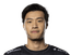 WildTurtle