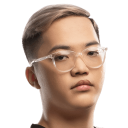 Nguyễn Lâm Việt Sinh