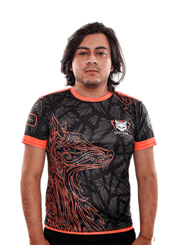 David&nbsp;Alexander Estrella Fierro