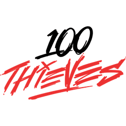100 Thieves Academy