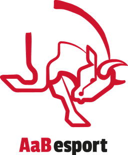 AaB Esport