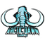 Arctic Dawn Gaming