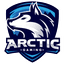 Arctic Gaming logo