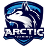 Arctic Gaming logo