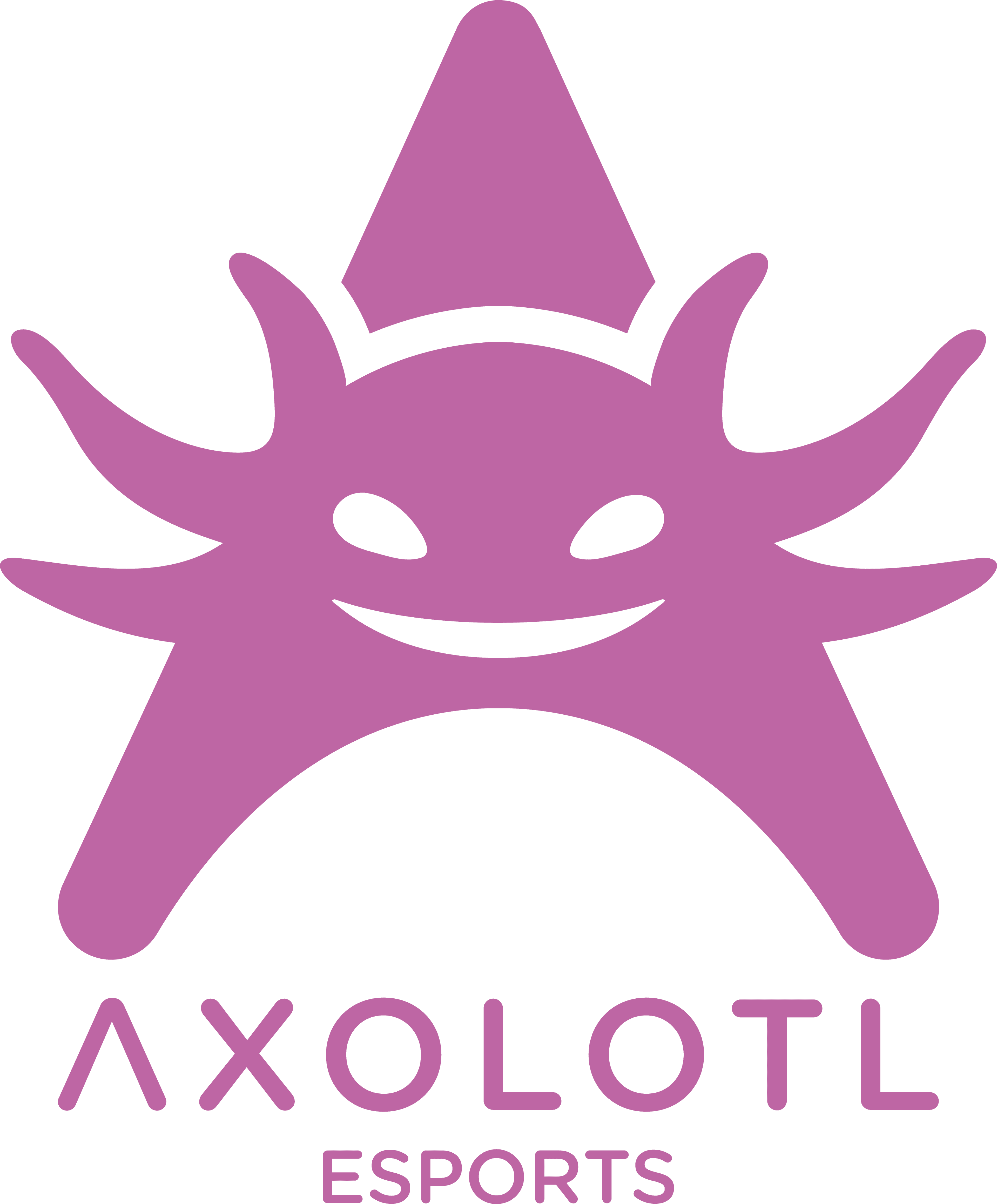 Axolotl