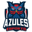 Azules Esports Academy