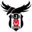 Beşiktaş Esports