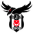 Beşiktaş Academy