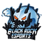 Black Rock Esports