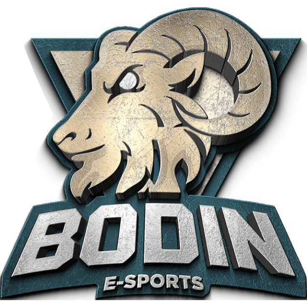 Bodin E-Sports