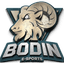 Bodin E-Sports logo