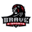 Brave e-Sports