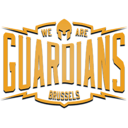 Brussels Guardians