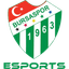 Bursaspor Academy