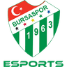 Bursaspor Academy logo