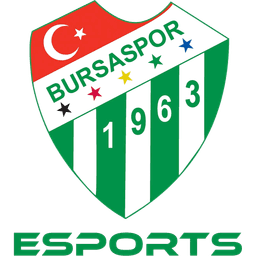 Bursaspor Esports