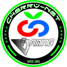 Cherry Esports logo