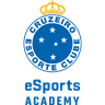 Cruzeiro Academy logo