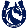 Curralzinho Esports logo