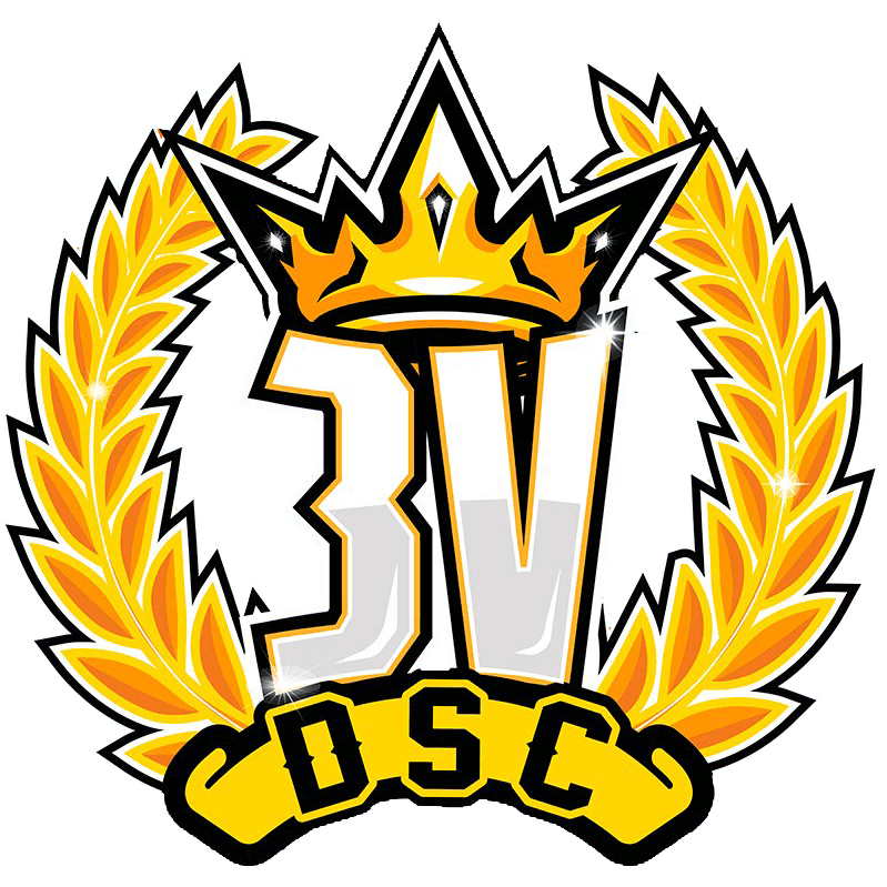DSC3V