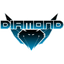 Diamond Team logo