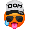Domme Jongens logo