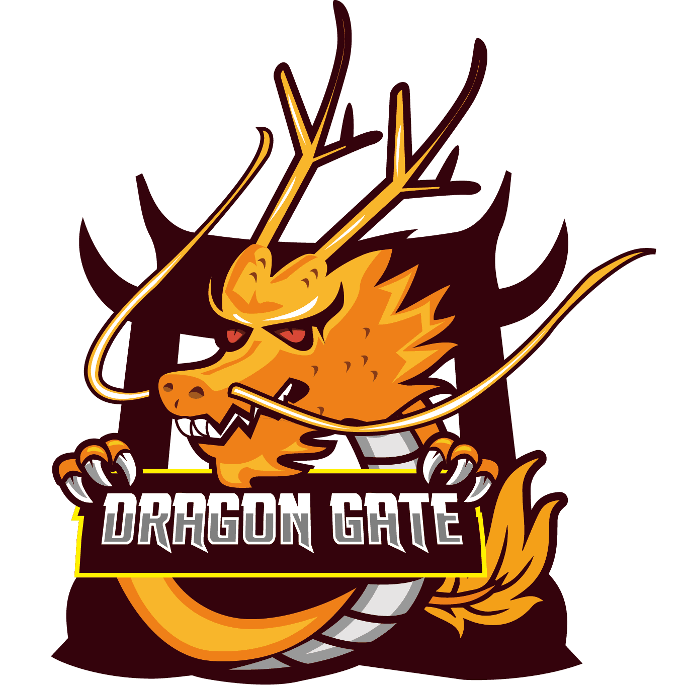 Dragon Gate Team
