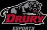 Drury University logo