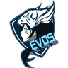 EVOS Valkyrie logo