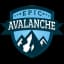 Epic Avalanche