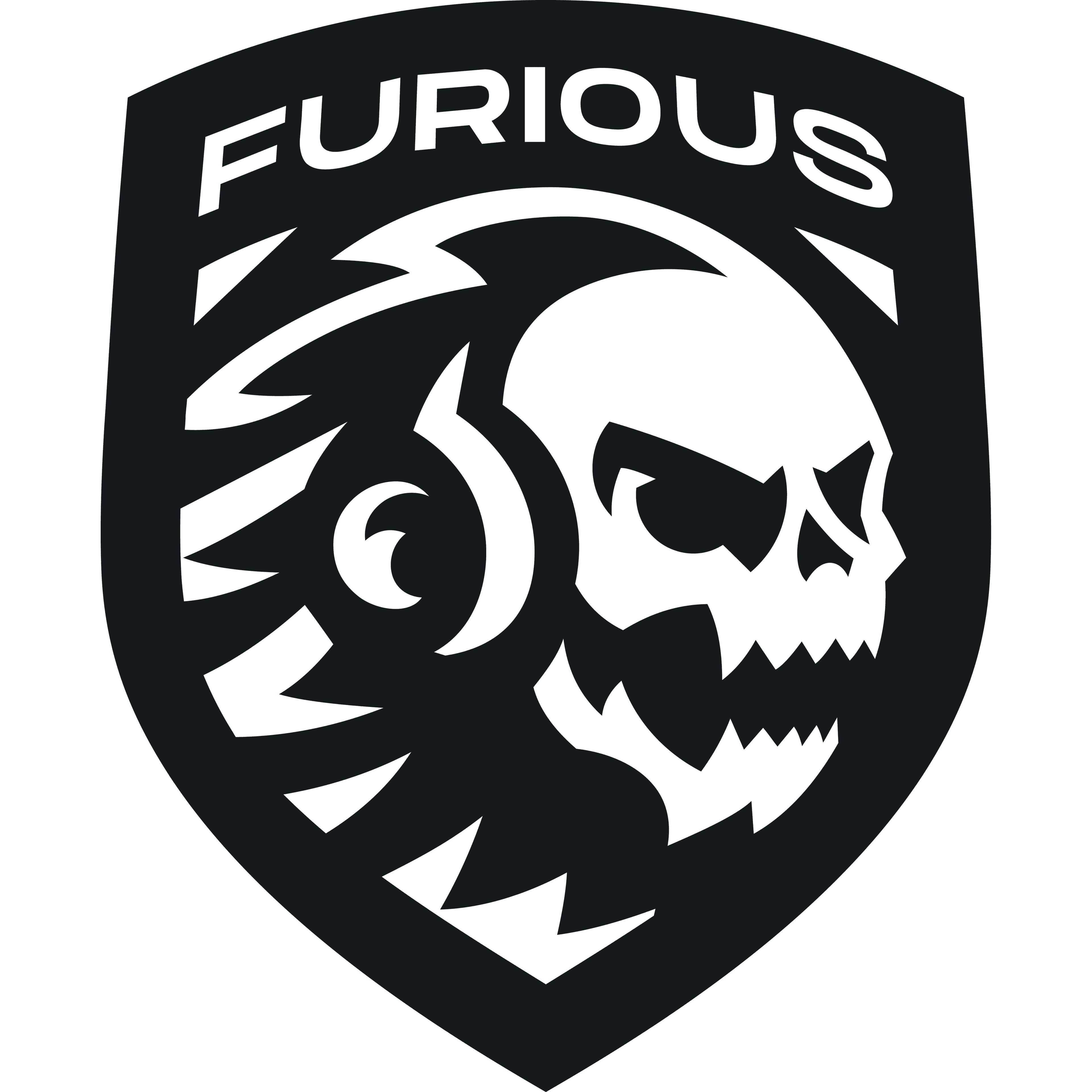 Furious Gaming Academy