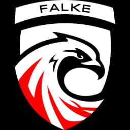 Falke Esports
