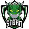 Falkol Storm logo