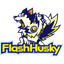 Flash Husky