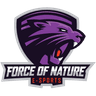 Force Of Nature (Latin American Team) logo