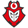 G2 Vodafone logo