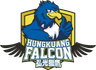 Hungkuang Falcon logo