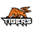 Intergalaxy Tigers Gaming