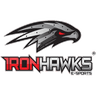 Iron Hawks e-Sports logo