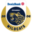 Istanbul Wildcats Academy