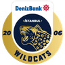 Istanbul Wildcats logo