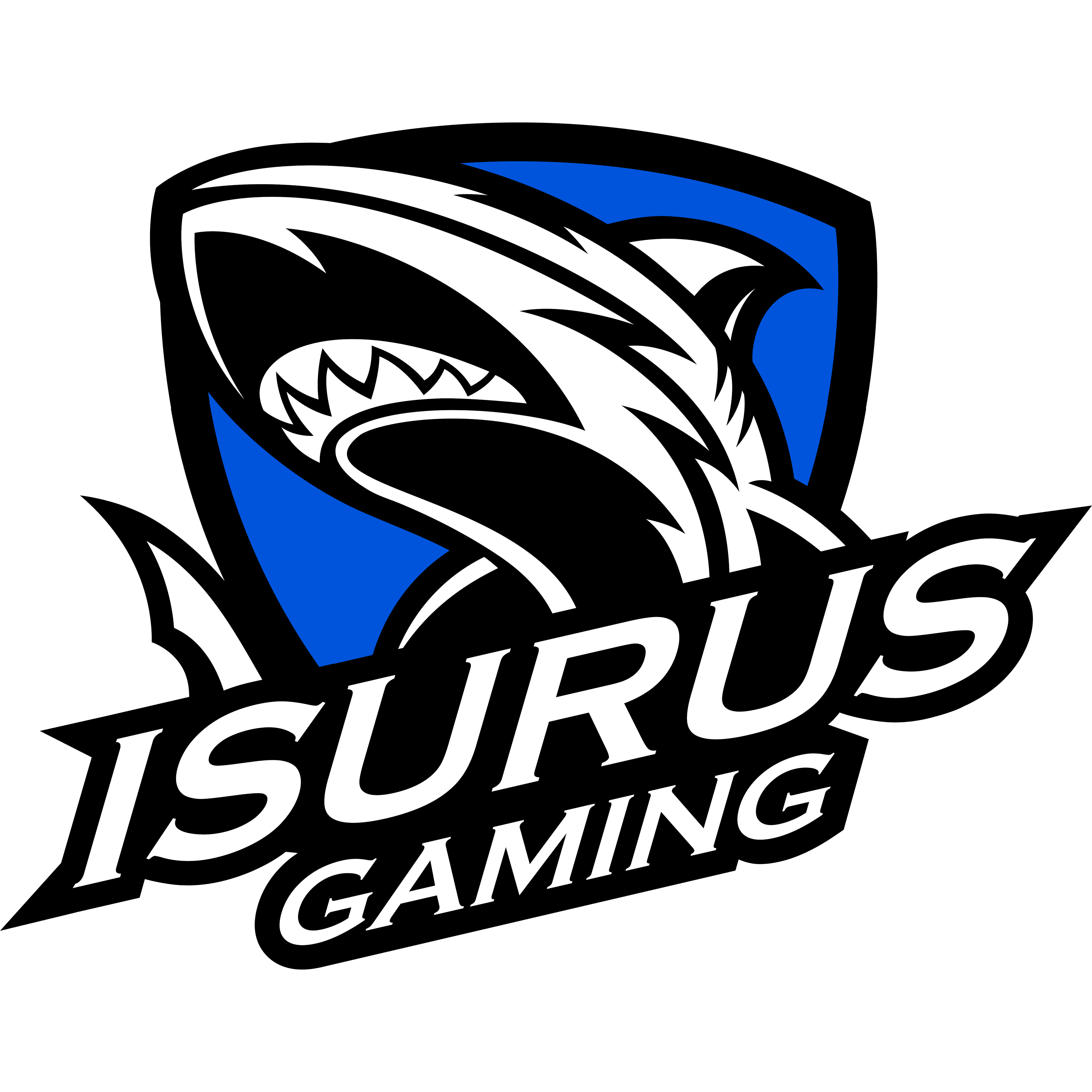 Isurus