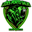 Leões Porto Salvo Esports logo