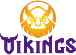 MGN Vikings Esports