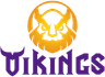 MGN Vikings Esports logo
