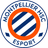 MHSC Esport