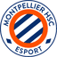 MHSC Esport logo