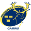 Munster Rugby Gaming Academy