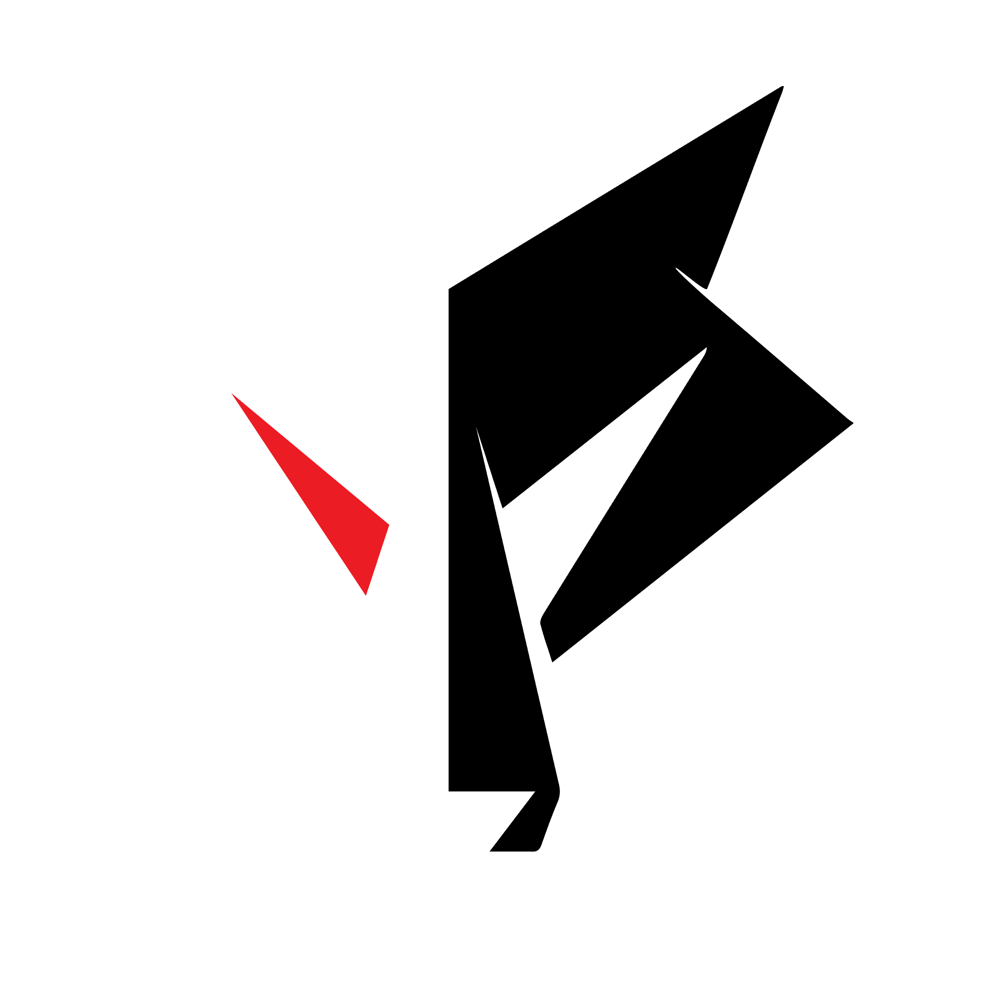 North Carolina State University