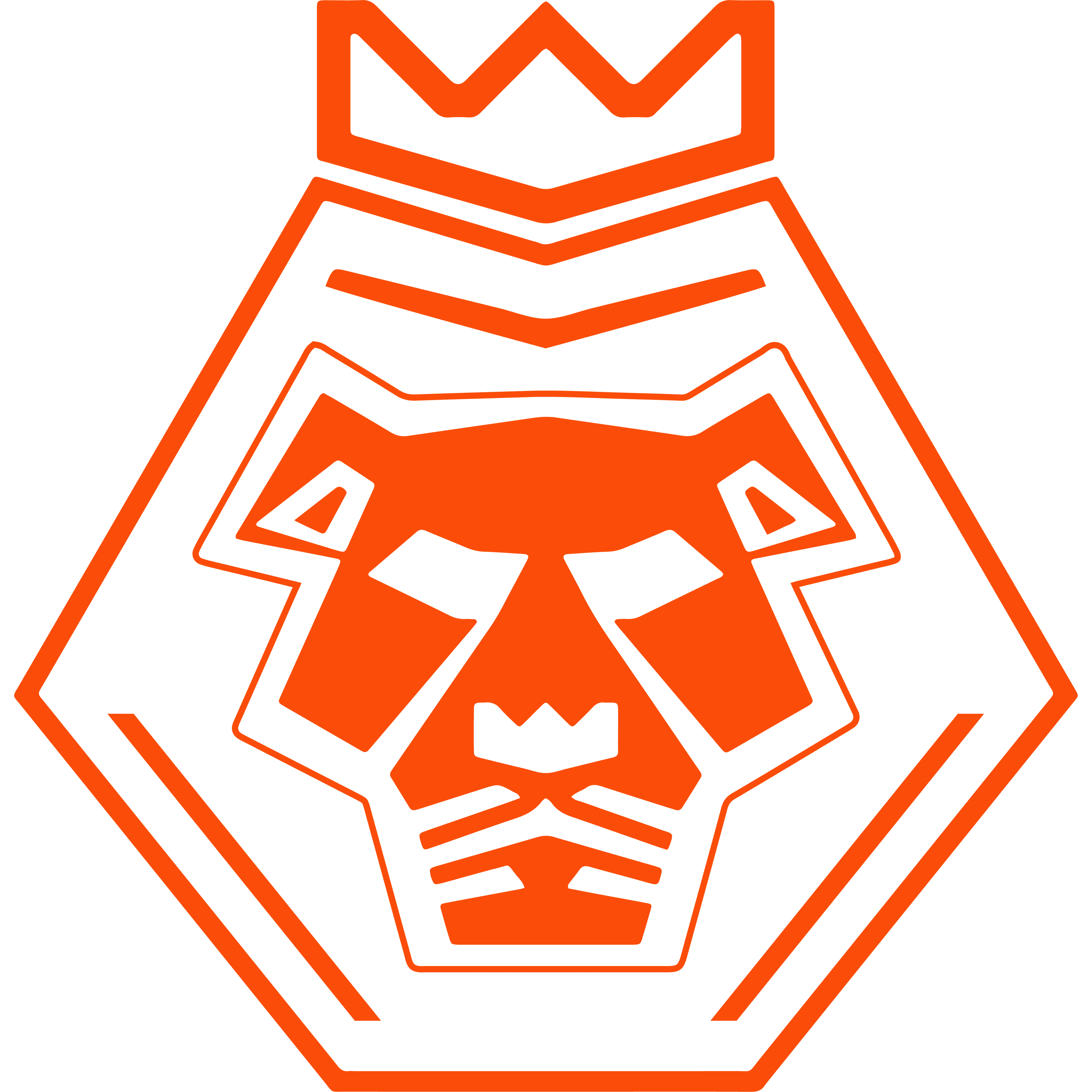 Northern Lions Esports